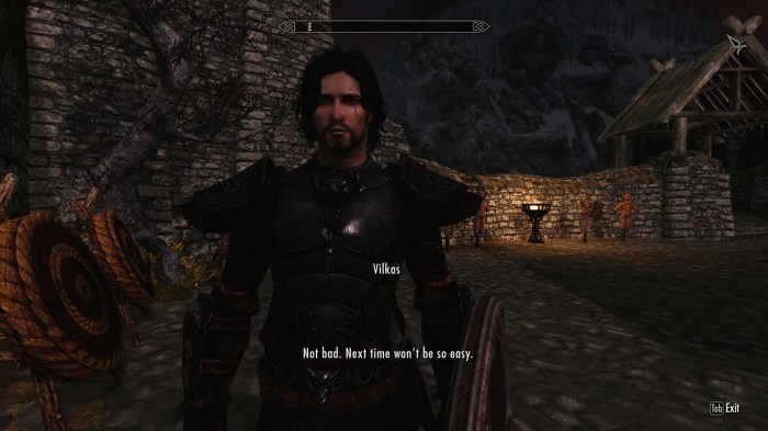 Nooo, not the face! Tell me I didn't hit the face!