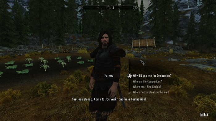 The moment when I started to appreciate Skyrim's rugged good looks.