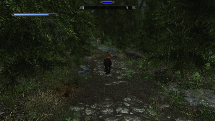 Apparently Skyrim has rainforests. Who knew?
