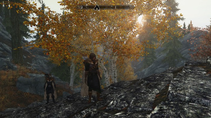 Remind me why we didn't bring our horses, again?