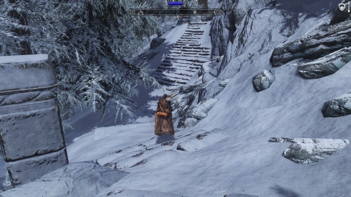 And to think, the Jarl of Whiterun did this for fun.