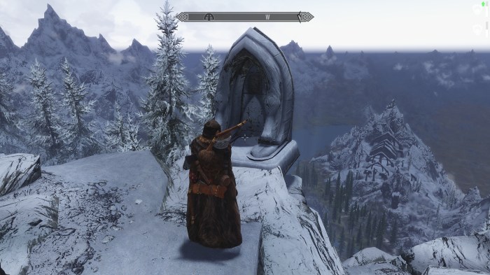 Sobriety test, Skyrim style.