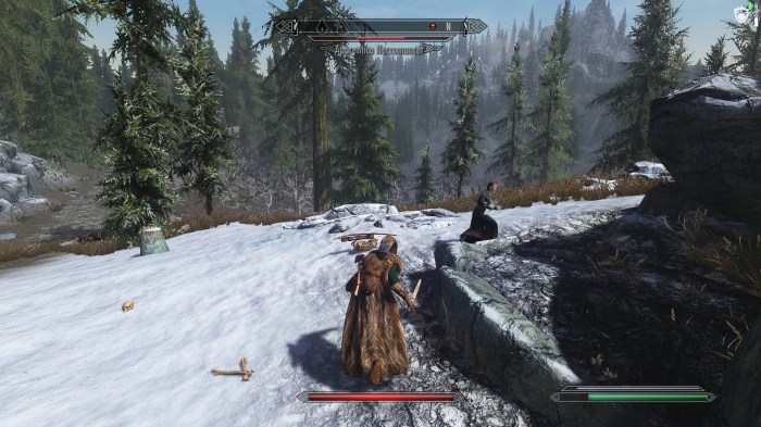 Get back here, you filthy skeever!