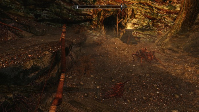 Why is there always spiders?