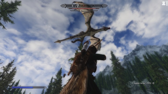 Hey, back off, dragon!