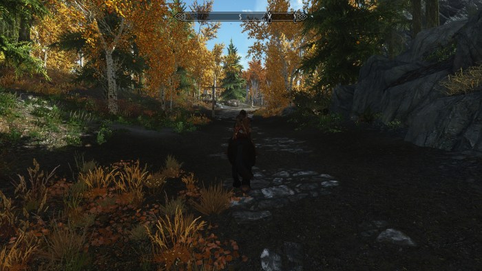 Riding into the light.