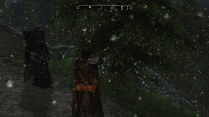 Ten septims says Hircine started this blizzard.