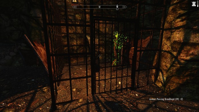 Decisions, decisions...