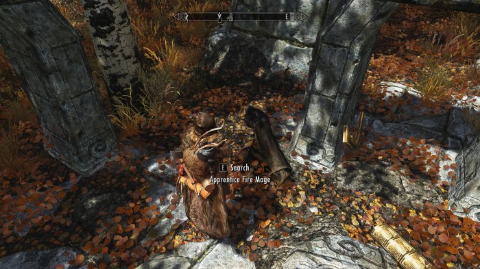 Guess this fire mage just couldn't take the heat.