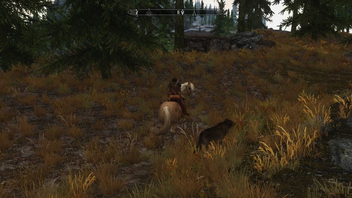 Early morning pack meeting.