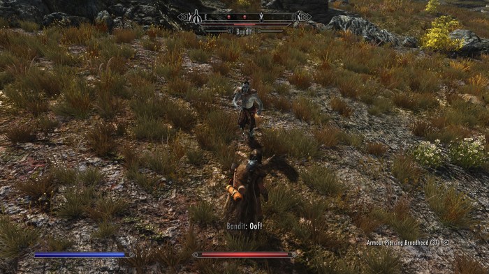 Hello. My name is Morien the Dragonborn. You killed my wolf buddy. Prepare to die.