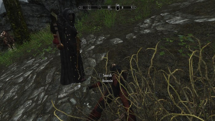 Speed bump, Skyrim style.